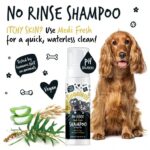 Bugalugs bezoplachový šampón pre psov proti svrbeniu 200 ml – Obrázok 5